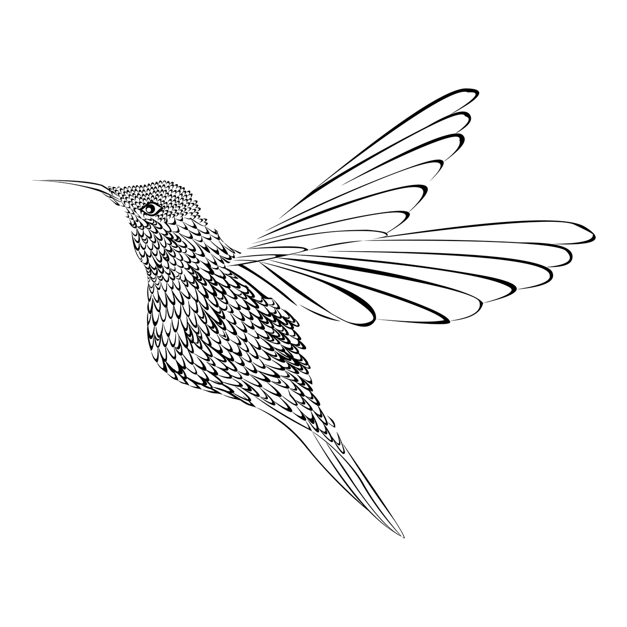 Black and white hummingbird outline vector