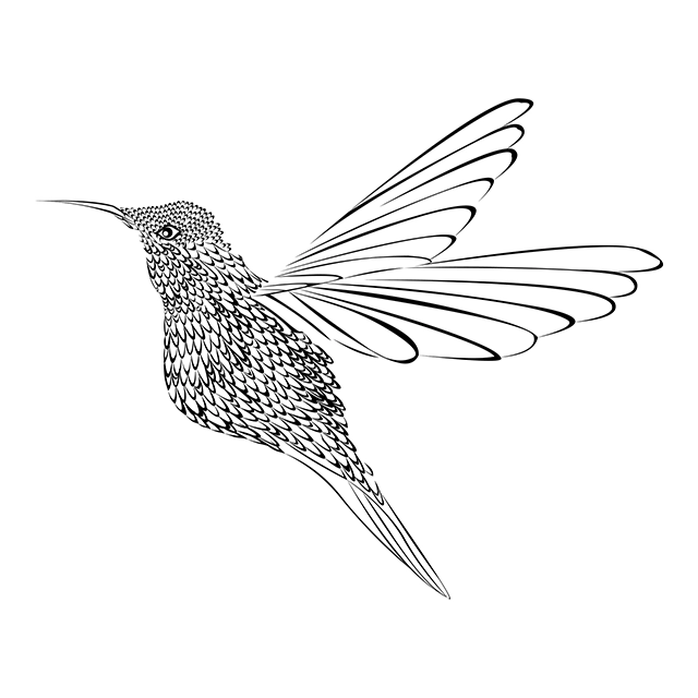 Black and white hummingbird outline vector