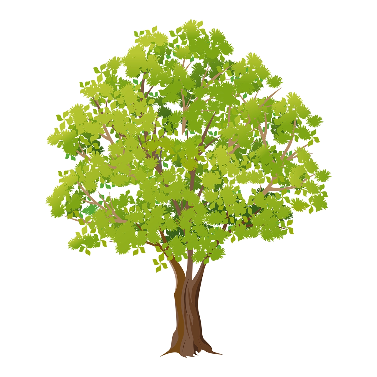 Tree plant vector