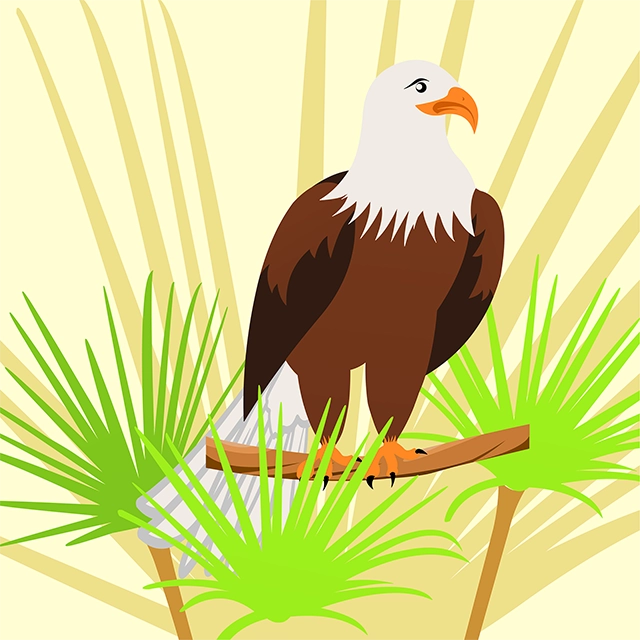 Bird eagle background vector