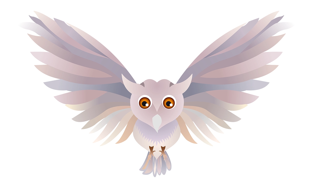 Owl bird vector