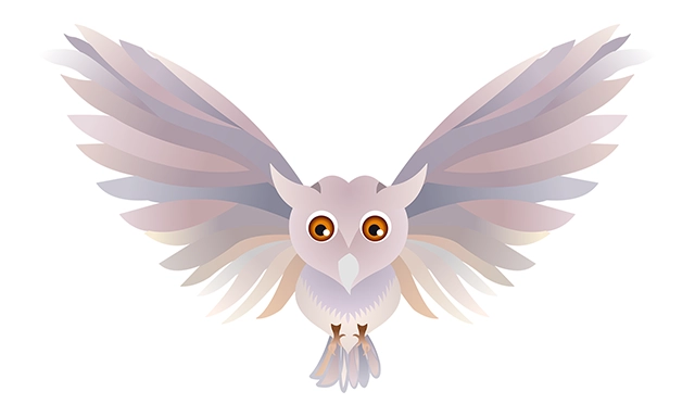 Owl bird vector