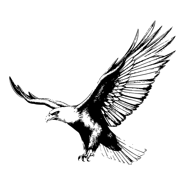 Black and white eagle bird vector