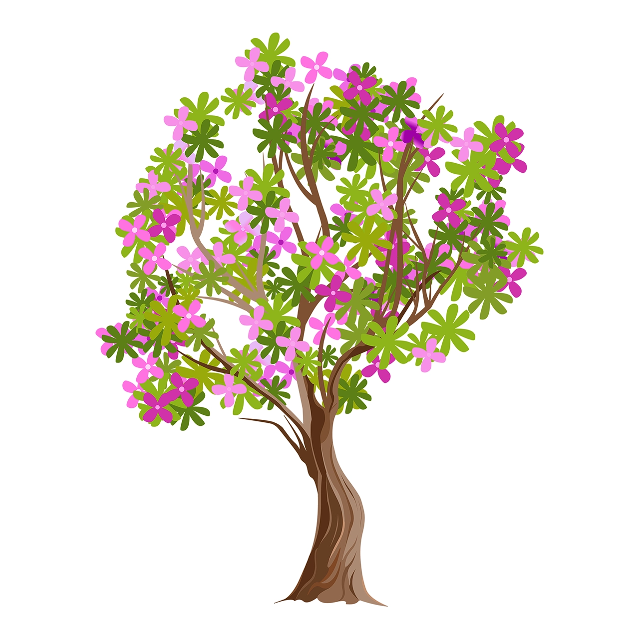 Cherry sakura tree vector