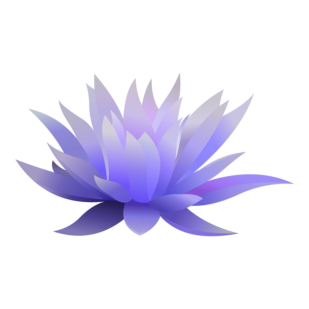 Blue lotus flower vector