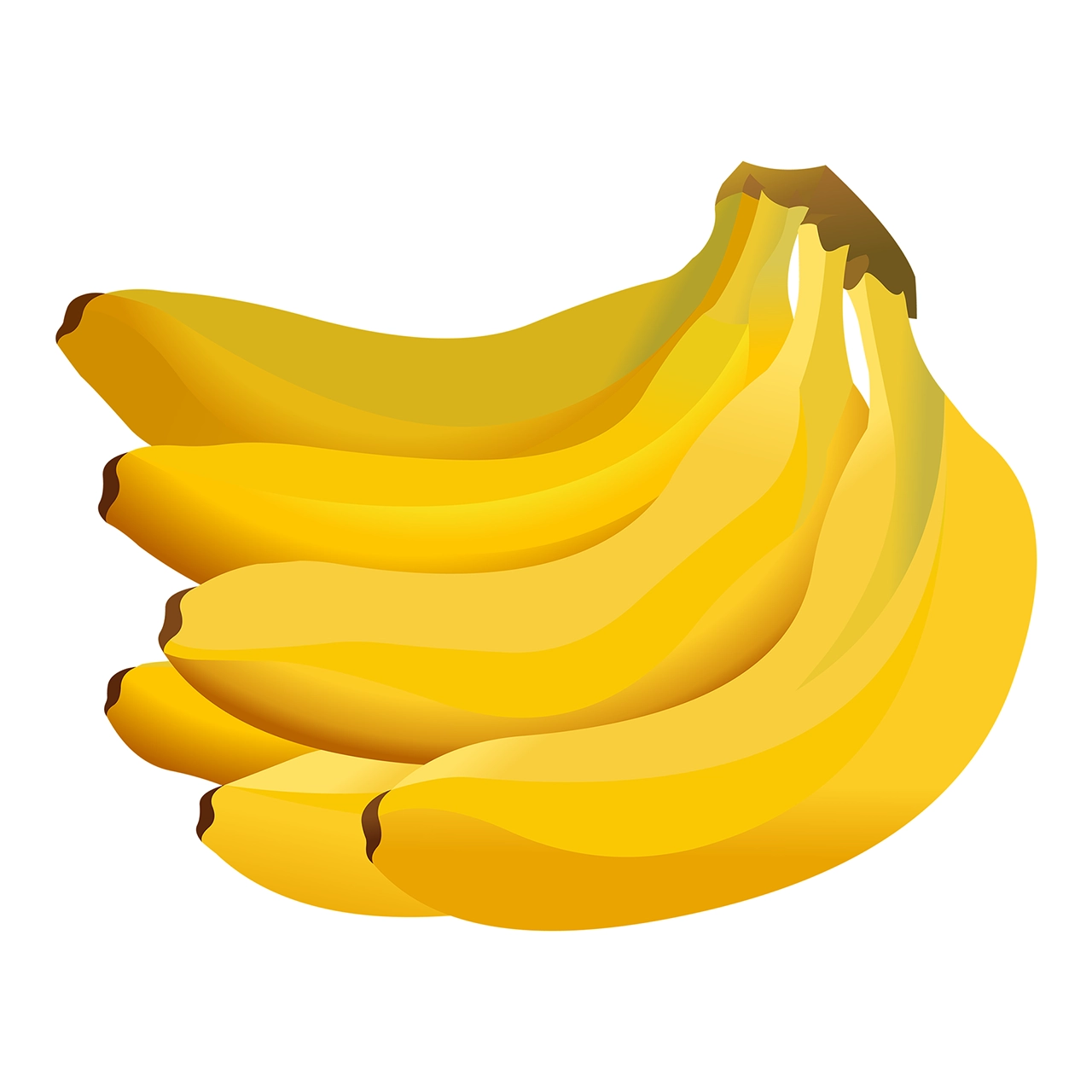 Banana fruit vector