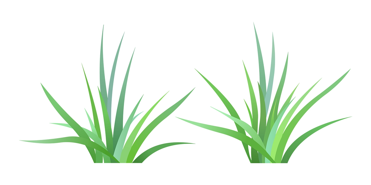 Grass shrub bush vector