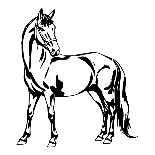 Horse design outline vector