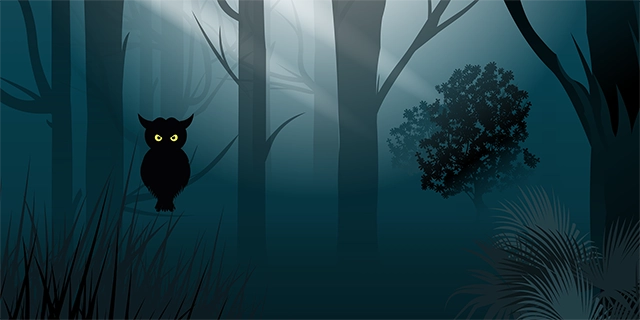 Jungle forest night landscape vector