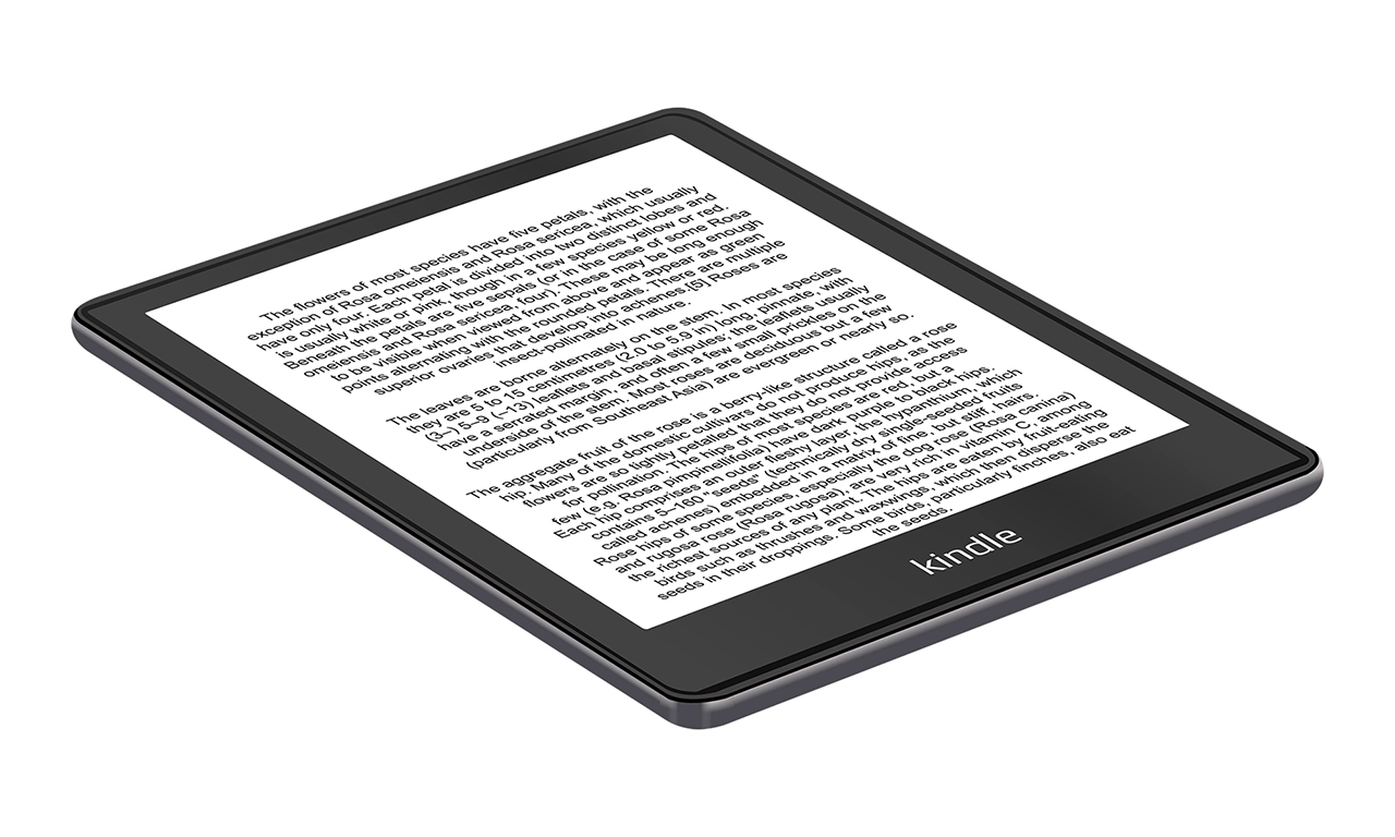 Kindle tablet vector