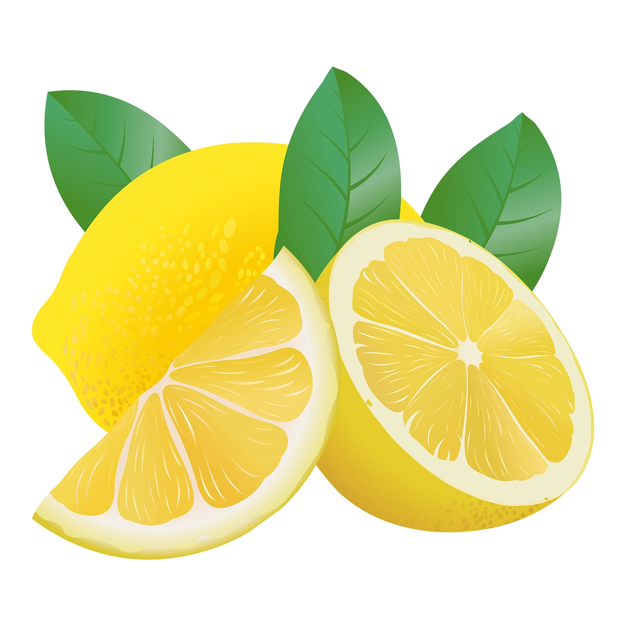 Lemon citrus lime vector