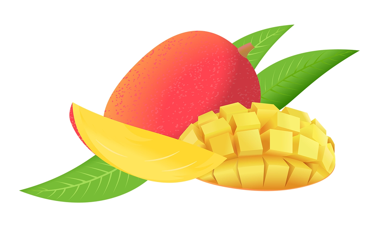 Mango fruit vector