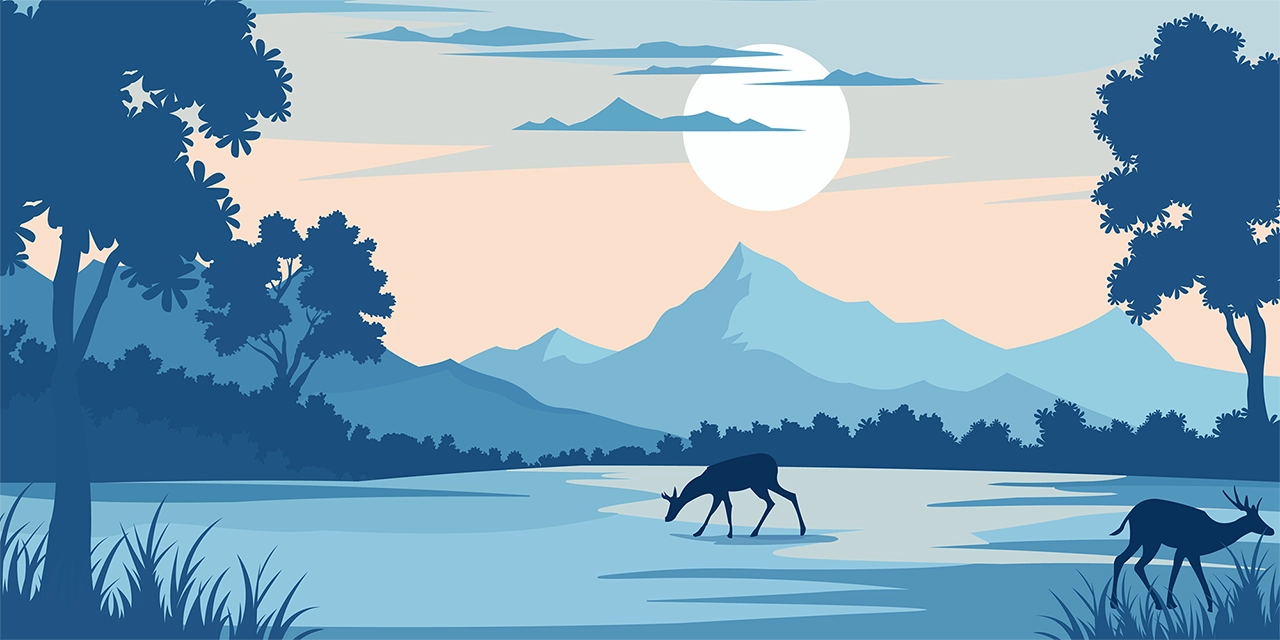 Mountain jungle landscape vector