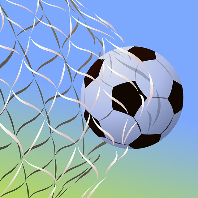 Net ball football vector