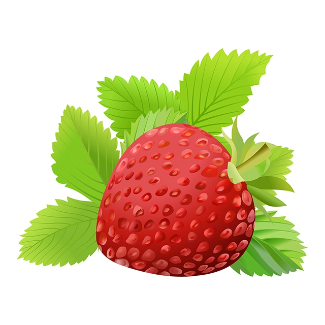 Strawberry fruit vector